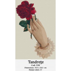 Kit goblen Tandrete