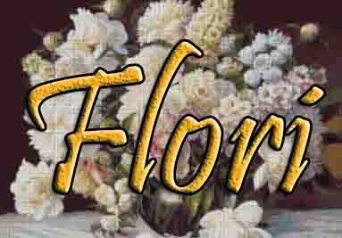 Motive Florale